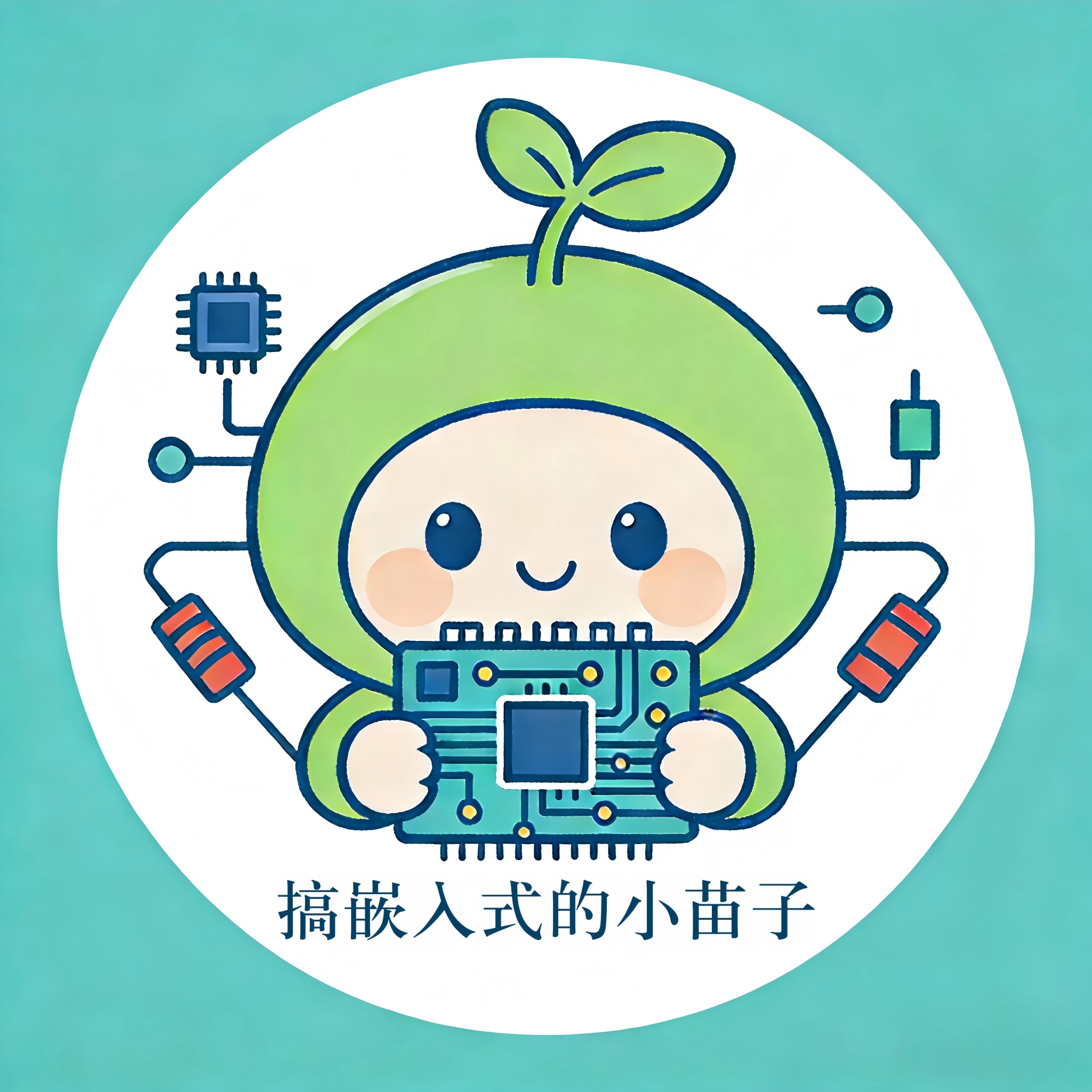 搞嵌入式的小苗子